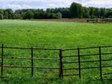 De essentie van een goede omheining: meer dan alleen privacy en veiligheid